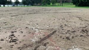 First games being played on the new football field at Rozelle Parklands. BDFC 